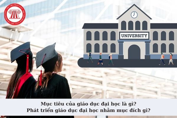 Mục tiêu của giáo dục đại học là gì? Phát triển giáo dục đại học nhằm mục đích gì theo quy định? 