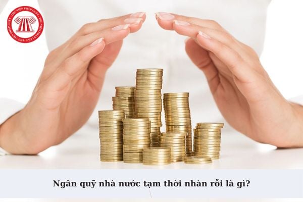 Ngân quỹ nhà nước tạm thời nhàn rỗi là gì? Ngân quỹ nhà nước tạm thời nhàn rỗi được sử dụng để tạm ứng cho ngân sách cấp tỉnh không?