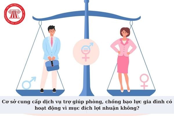 Cơ sở cung cấp dịch vụ trợ giúp phòng, chống bạo lực gia đình có hoạt động vì mục đích lợi nhuận không?