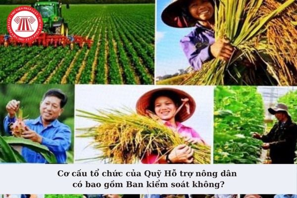 Cơ cấu tổ chức của Quỹ Hỗ trợ nông dân có bao gồm Ban kiểm soát không? Nếu có thì thành viên Ban Kiểm soát do ai bổ nhiệm?