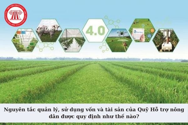 Nguyên tắc quản lý, sử dụng vốn và tài sản của Quỹ Hỗ trợ nông dân được quy định như thế nào theo quy định?