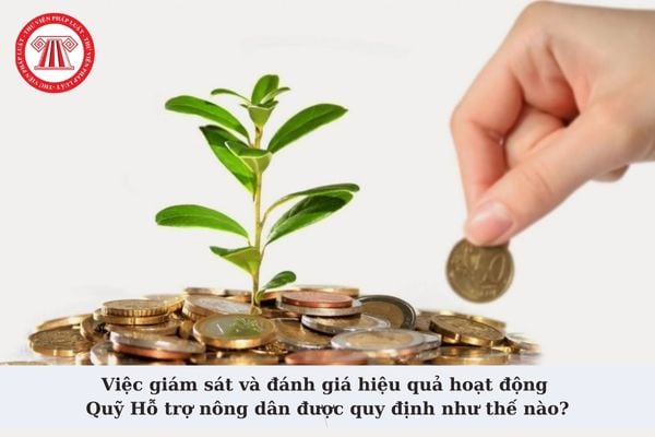 Việc giám sát và đánh giá hiệu quả hoạt động Quỹ Hỗ trợ nông dân được quy định như thế nào theo Nghị định 37?