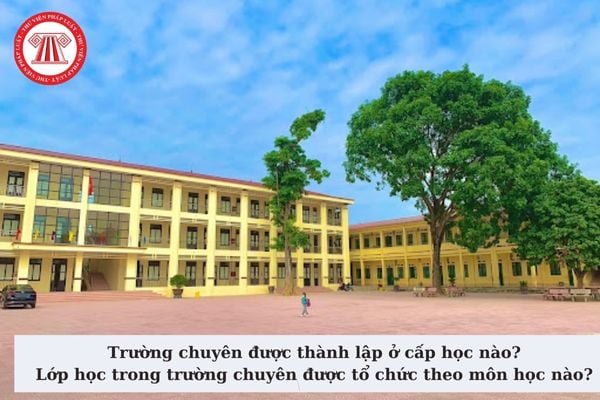 Trường chuyên được thành lập ở cấp học nào? Lớp học trong trường chuyên được tổ chức theo môn học nào?