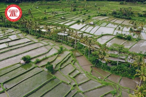 Hạn mức giao đất nông nghiệp tại những thành phố trực thuộc Trung ương thuộc khu vực Đông Nam Bộ là bao nhiêu?