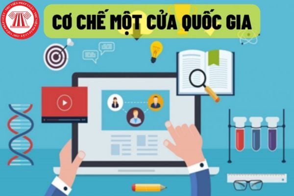 Khi thực hiện Cơ chế một cửa quốc gia, Tổng cục Hải quan có trách nhiệm gì? Giao dịch điện tử trên Cơ chế một cửa quốc gia?