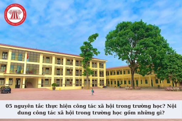 05 nguyên tắc thực hiện công tác xã hội trong trường học? Nội dung công tác xã hội trong trường học gồm những gì?