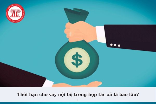 Thời hạn cho vay nội bộ trong hợp tác xã là bao lâu? Quy định về cho vay nội bộ trong Điều lệ hợp tác xã gồm nội dung gì?