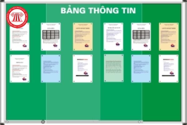 Bảng tin công cộng gồm các bảng tin nào?