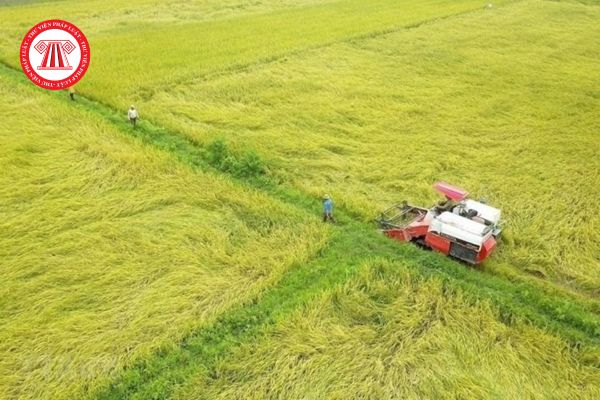 Mẫu văn bản xác nhận diện tích đất chuyên trồng lúa phải nộp tiền sử dụng đất là mẫu nào?