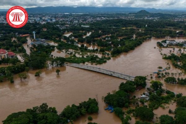 Hướng dẫn quản lý gia súc gia cầm trong khi ngập lụt?