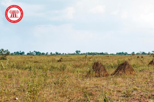 Nhóm đất chưa sử dụng là gì? Nhà nước ưu tiên đưa đất chưa sử dụng vào sử dụng ở khu vực nào?