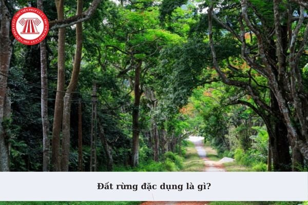 Đất rừng đặc dụng là gì? Tiêu chí phân bổ chỉ tiêu sử dụng đất rừng đặc dụng được xác định như thế nào?