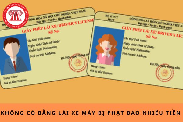 Pháp luật