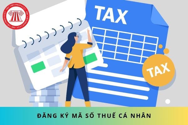 Pháp luật