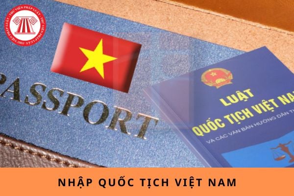 Pháp luật