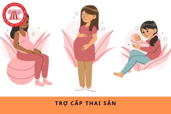 Pháp luật