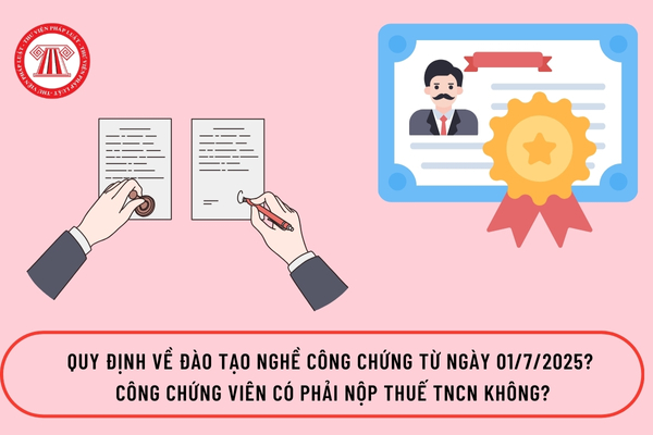 Pháp luật