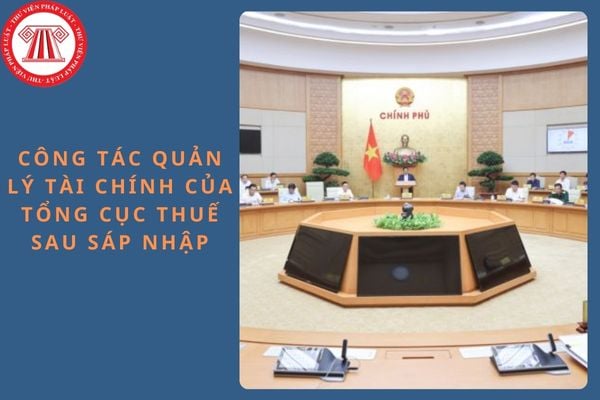 Pháp luật