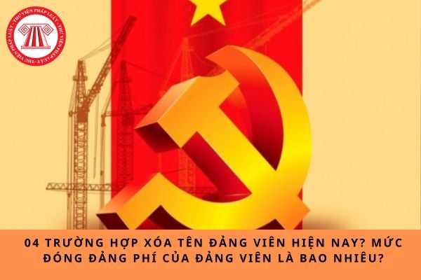 Pháp luật