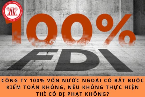 Công ty 100% vốn nước ngoài có bắt buộc kiểm toán không, nếu không thực hiện thì có bị phạt không? 