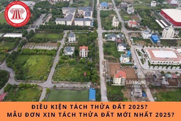 Điều kiện tách thửa đất 2025? Mẫu đơn xin tách thửa đất mới nhất 2025?