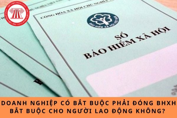 Pháp luật