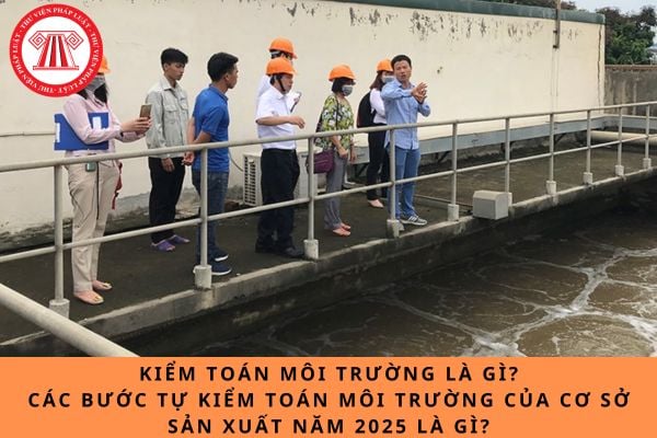 Kiểm toán môi trường là gì? Các bước tự kiểm toán môi trường của cơ sở sản xuất năm 2025 là gì?