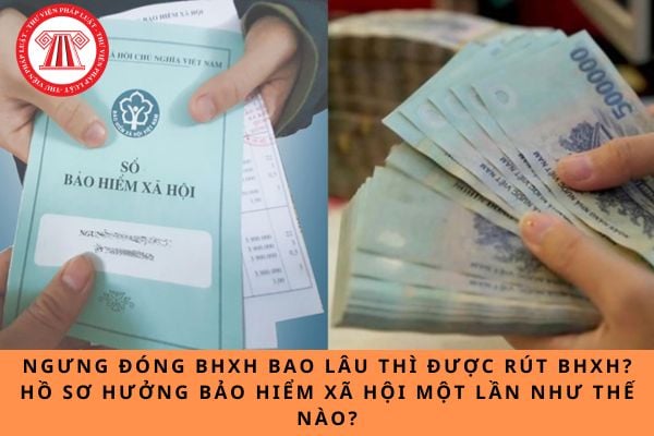 Pháp luật