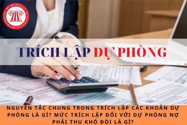 Nguyên tắc chung trong trích lập các khoản dự phòng là gì? Mức trích lập đối với dự phòng nợ phải thu khó đòi là gì?