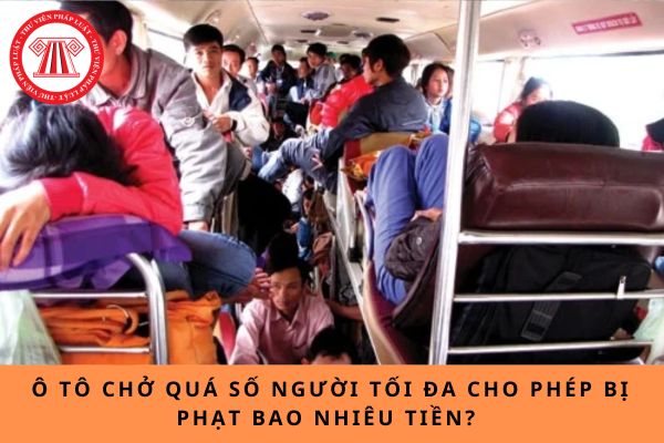 Pháp luật