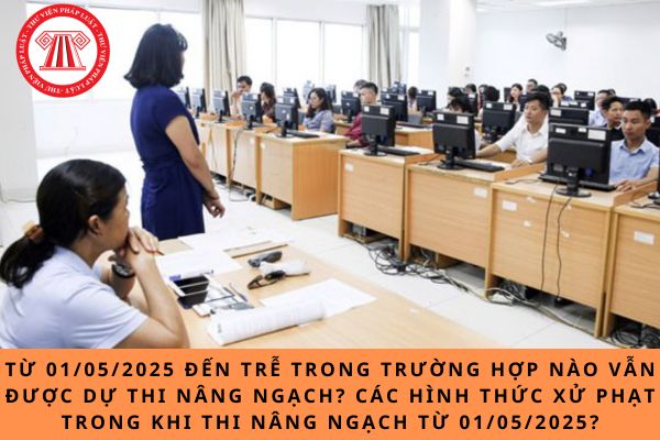 Pháp luật