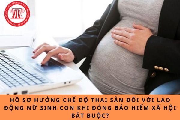 Pháp luật