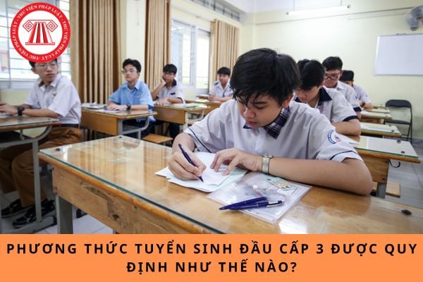 Pháp luật