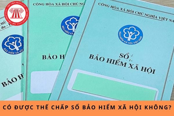 Pháp luật