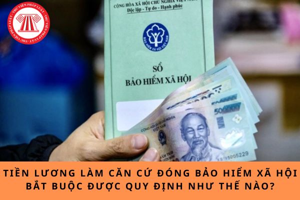 Pháp luật