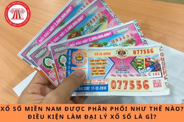 Pháp luật