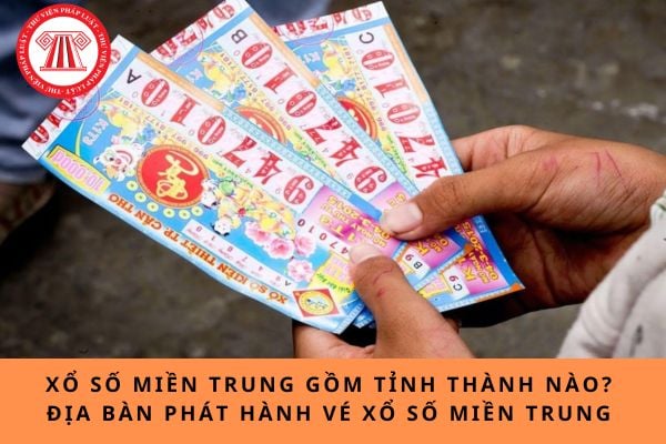Pháp luật
