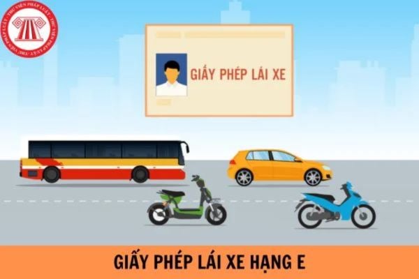 Pháp luật