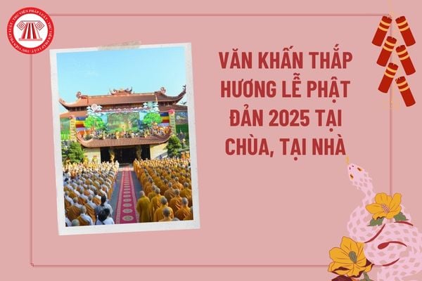 Pháp luật