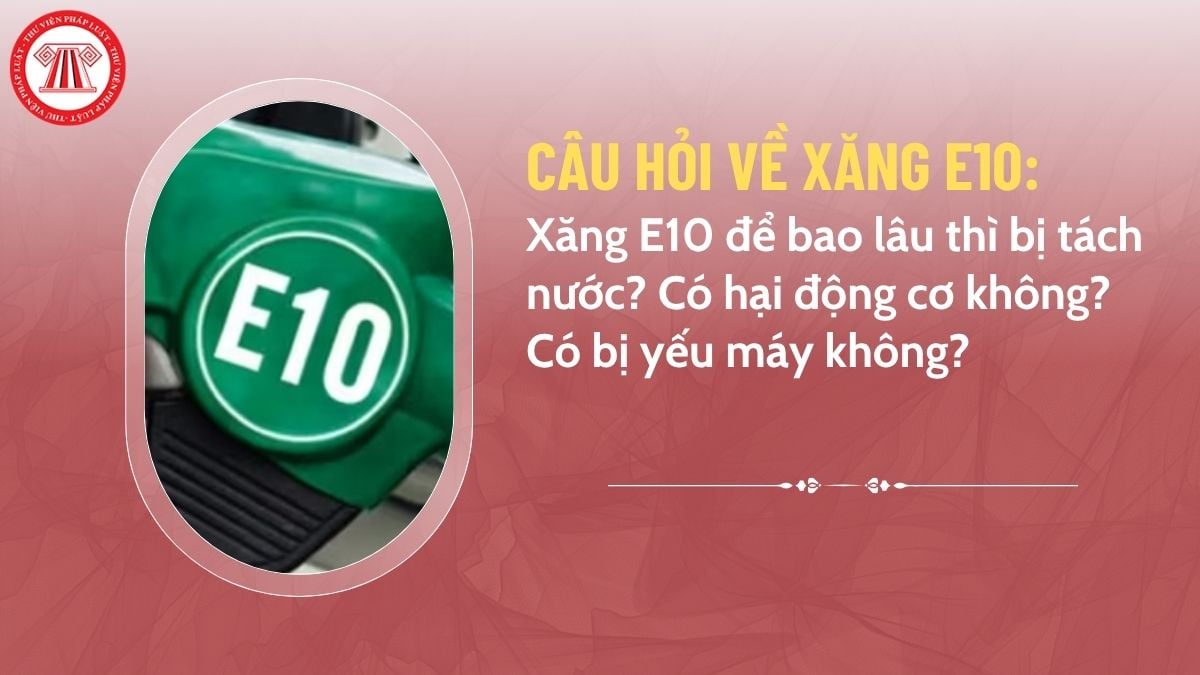 Pháp luật
