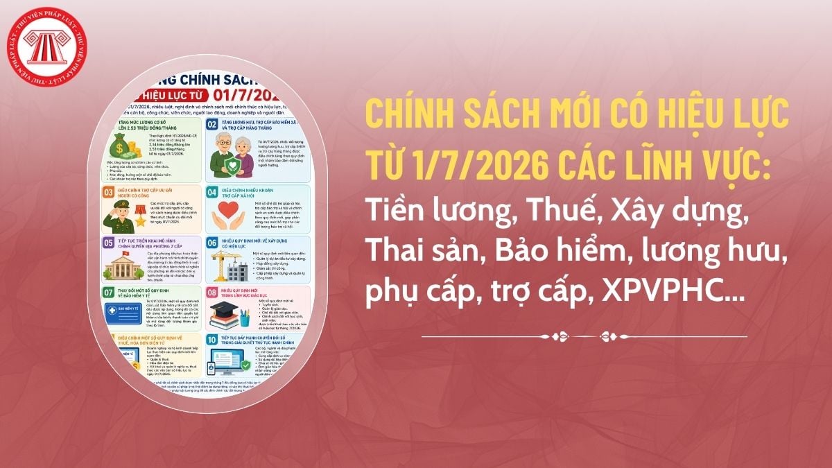 Pháp luật