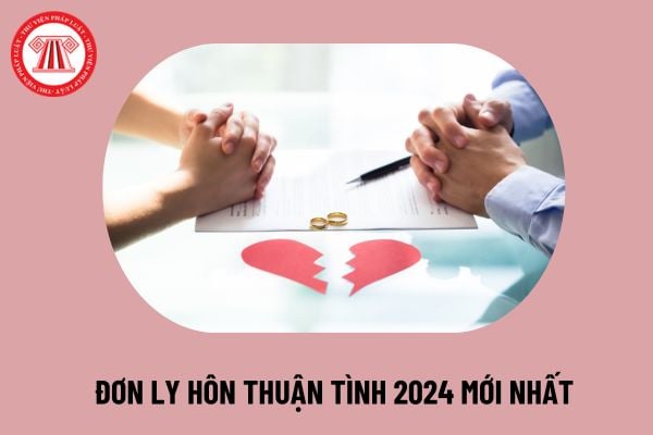 Mẫu đơn ly hôn thuận tình 2024 mới nhất? Cách viết đơn ly hôn thuận tình? Tải mẫu đơn ly hôn thuận tình ở đâu?