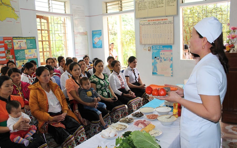 Pháp luật