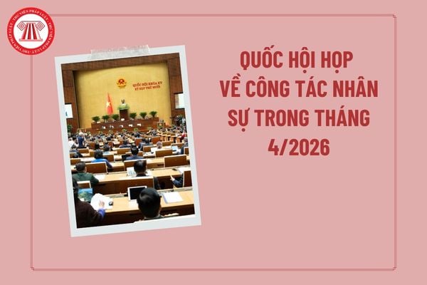 Pháp luật