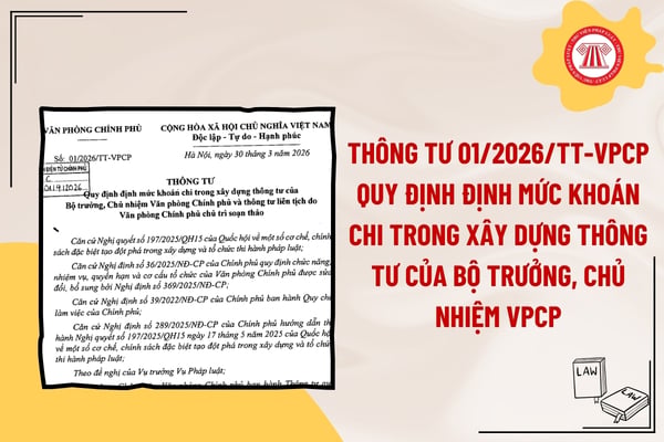 Pháp luật