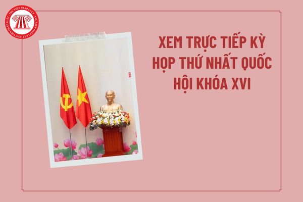 Pháp luật