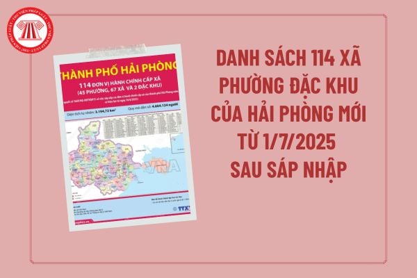 Pháp luật