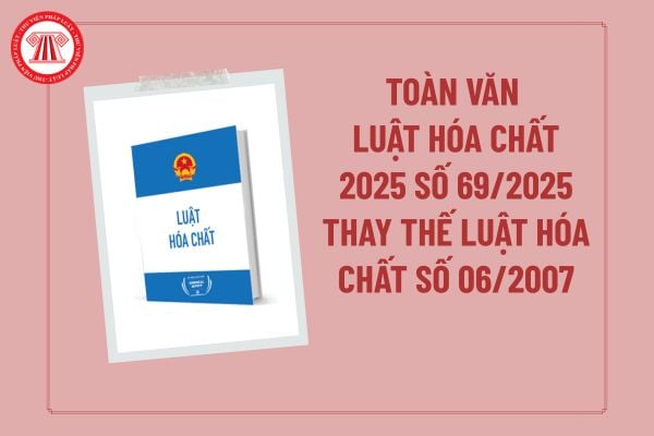 Pháp luật
