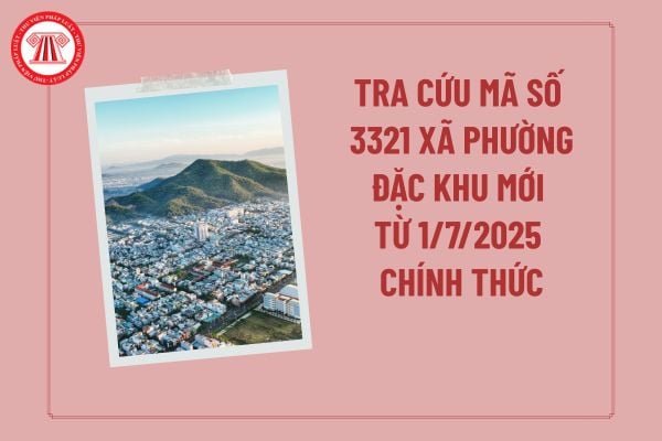 Pháp luật