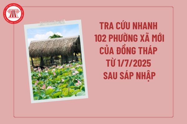 Pháp luật